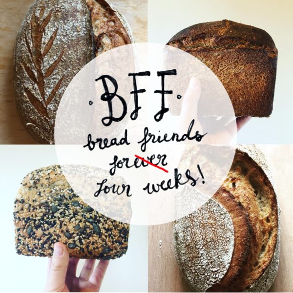 Bread Friends Forever: Four Weeks of Bread